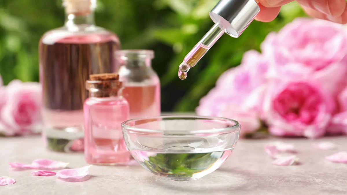 Best Plant Based Oils for Face Hydration and Body Moisture