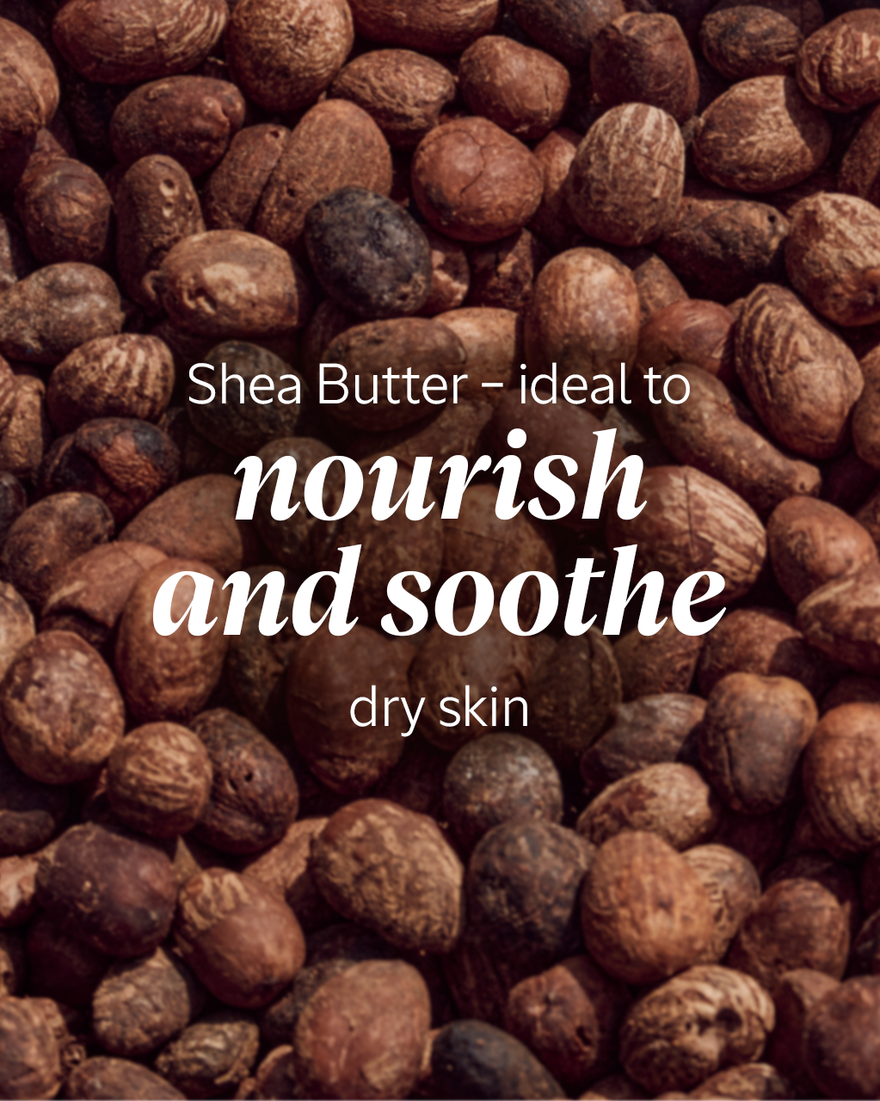 Shea Cleansing Milk
