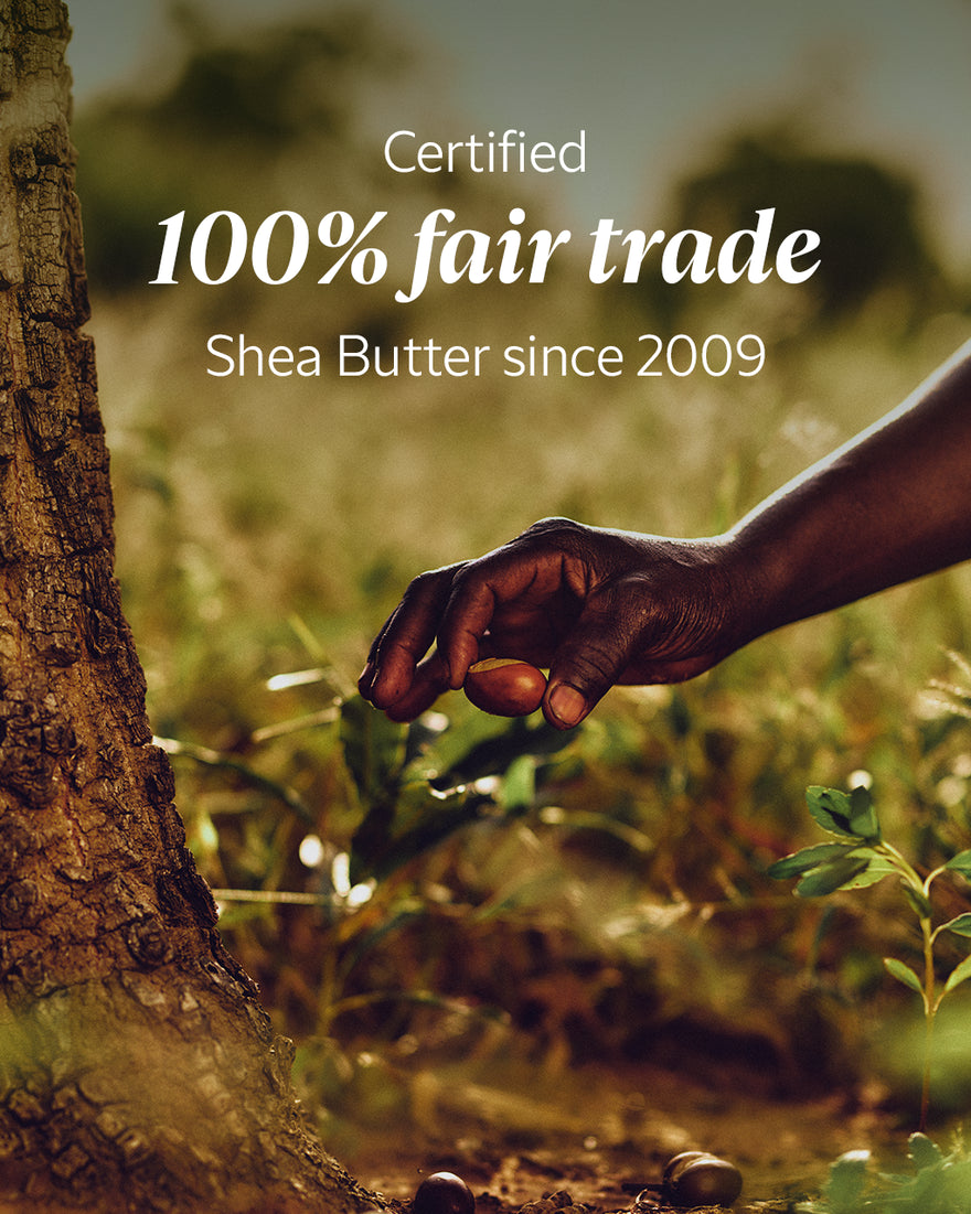 Shea Cleansing Milk