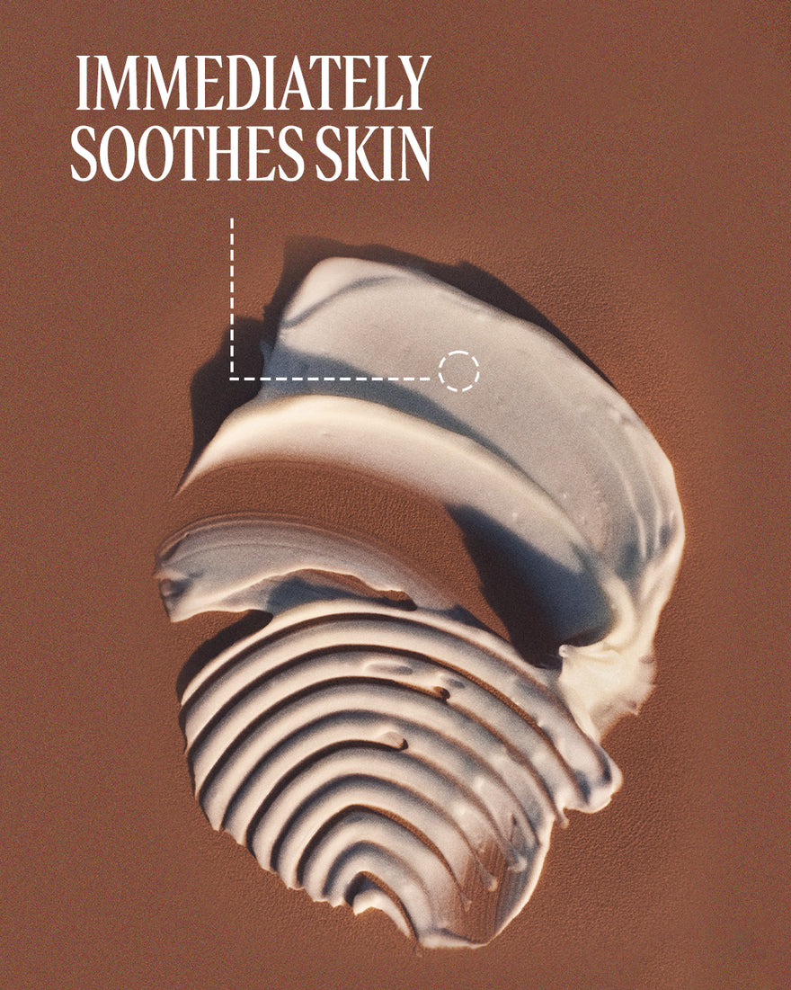Shea Butter Hand Cream Luxury Size