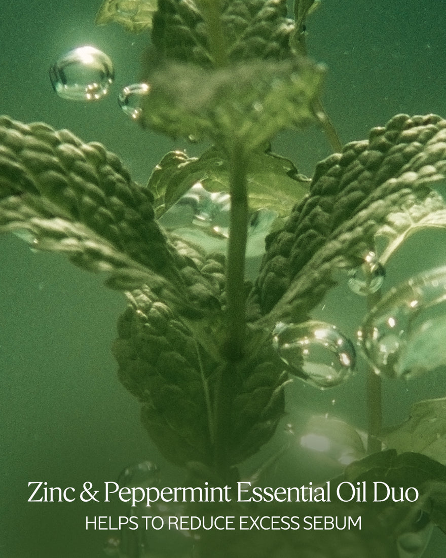 Purifying Freshness Conditioner Luxury Size