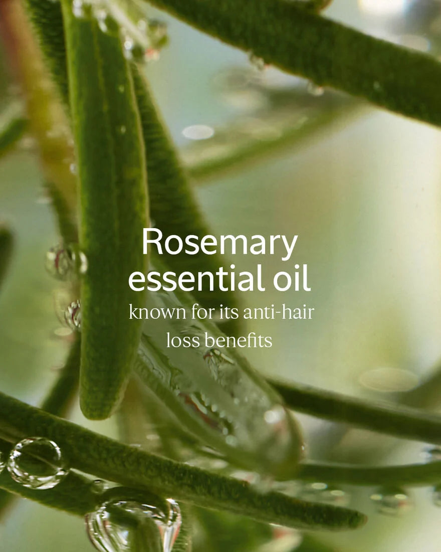 Anti-Hair Loss Serum