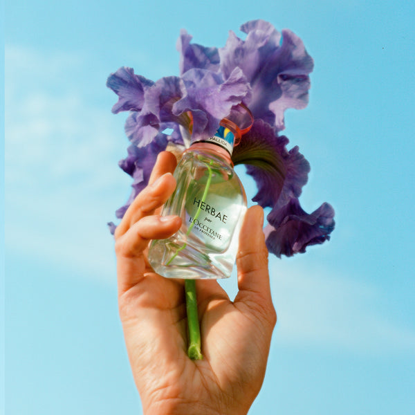 Herbae Iris Pallida Eau De Toilette