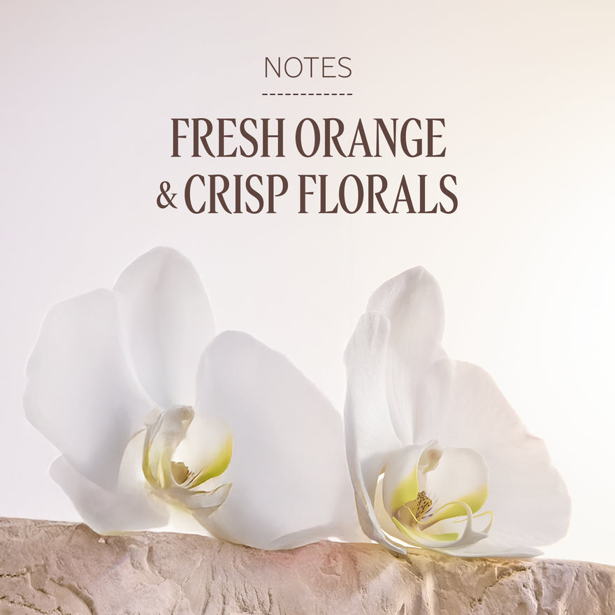 Néroli & Orchidée Eau Harmonieuse Hand Cream