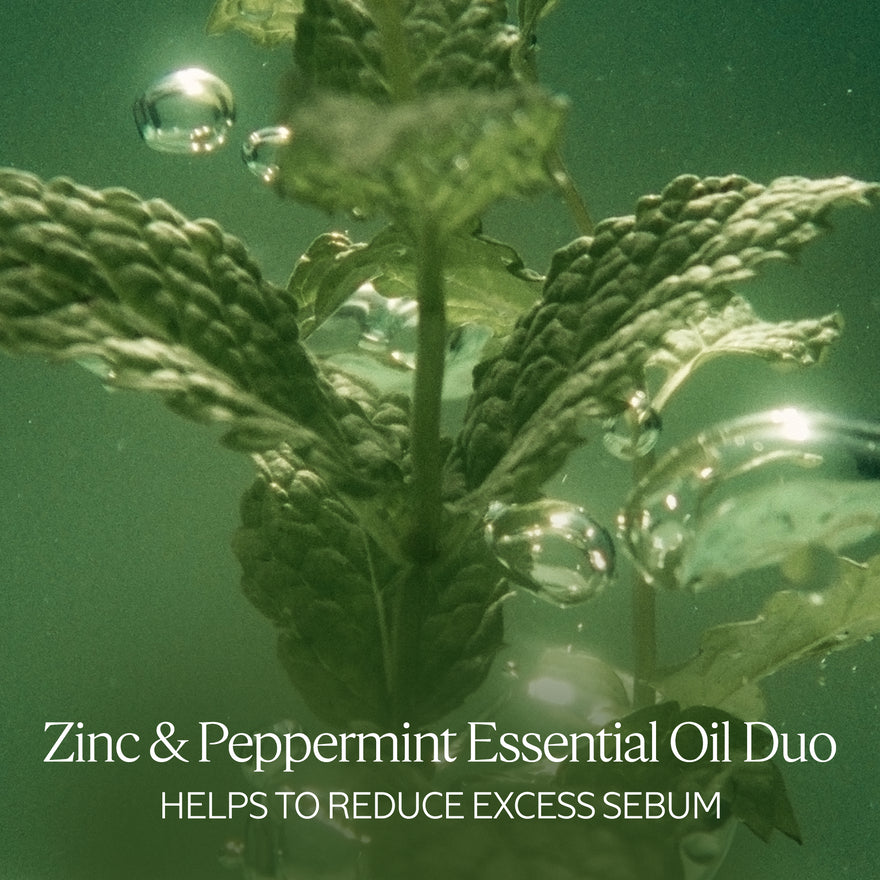 Purifying Freshness Shampoo Refill