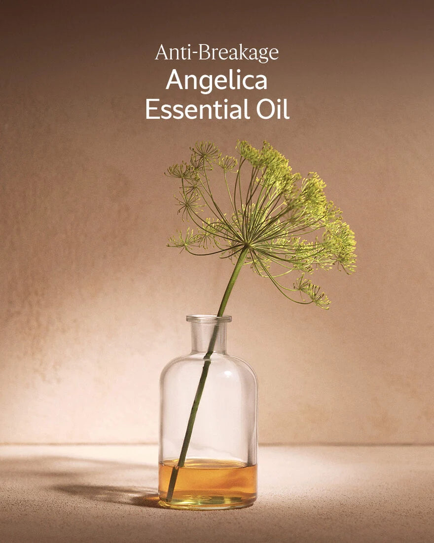 Intensive Repair Shampoo Refill