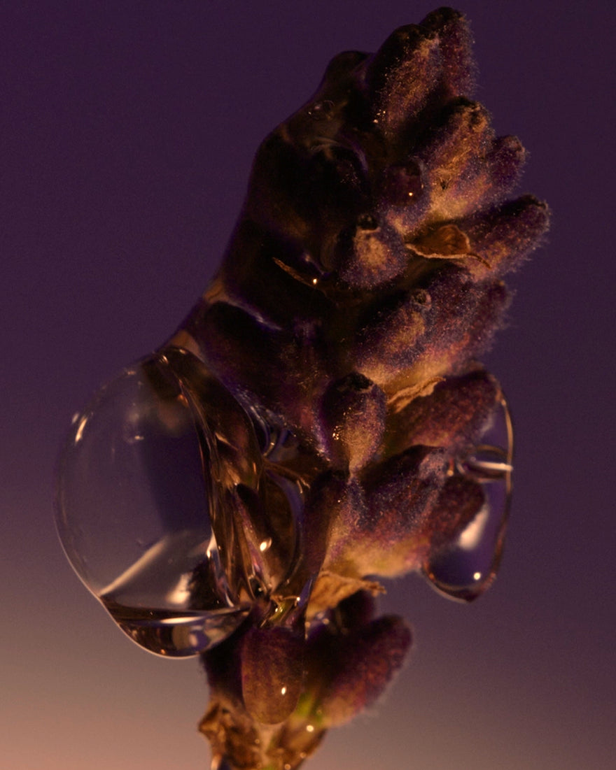 Lavender Shower Gel