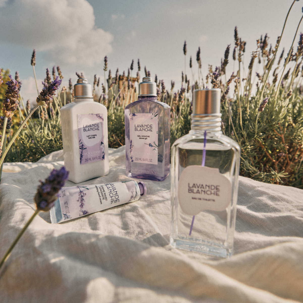 White Lavender Body Lotion  Luxury Size