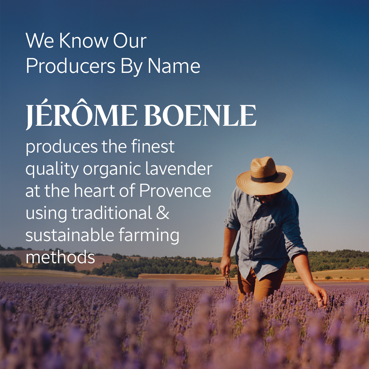 White Lavender Body Lotion  Luxury Size