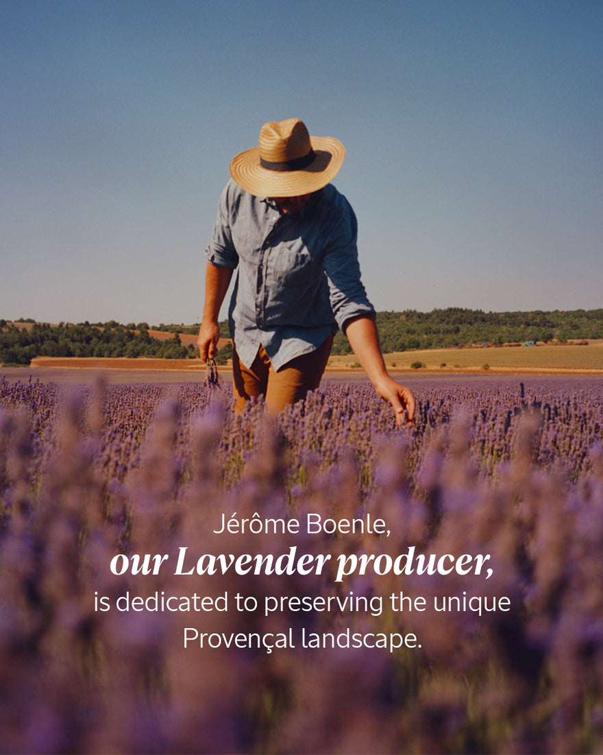 Lavender Hand Cream Travel Size