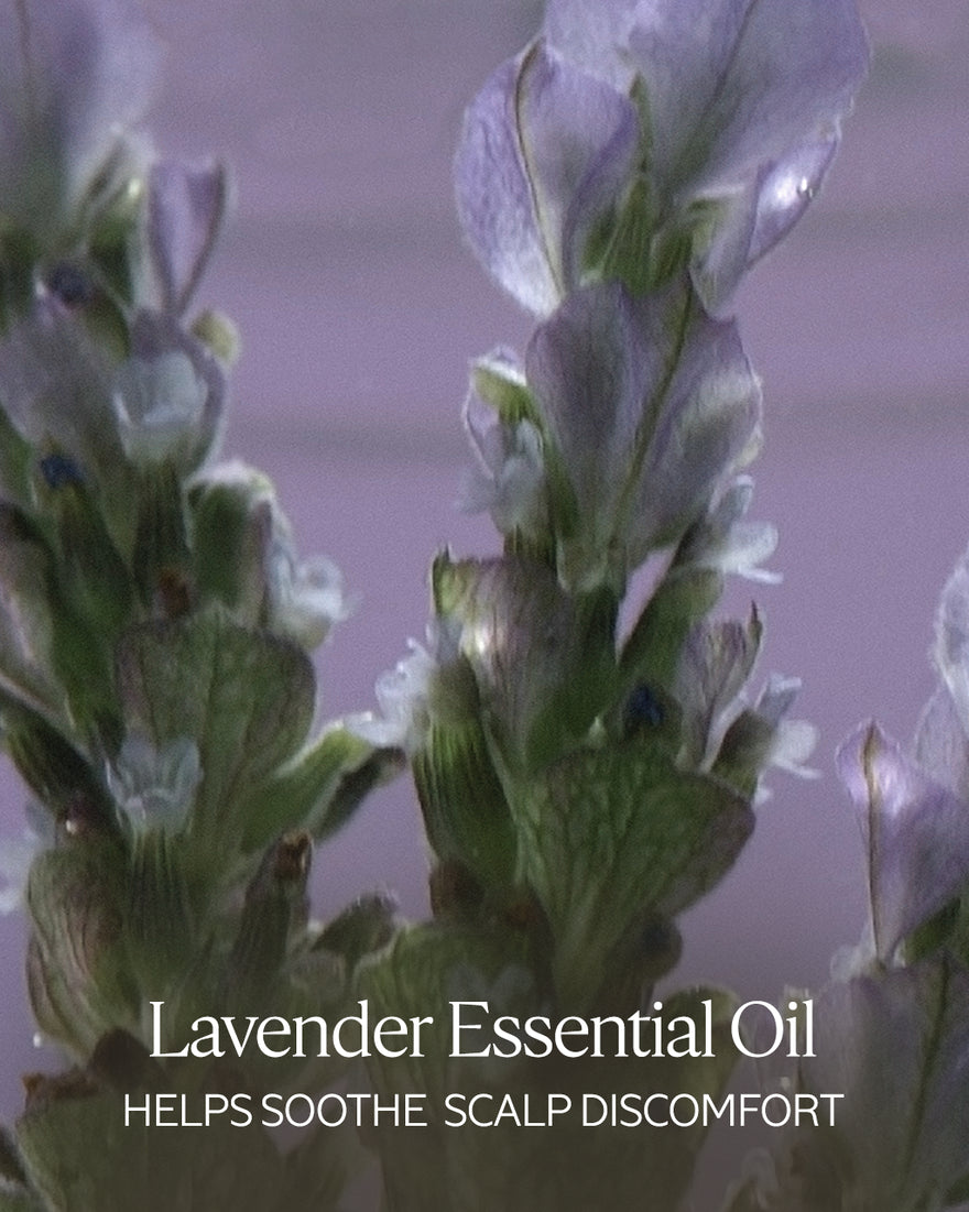 Gentle & Balance Conditioner Travel Size