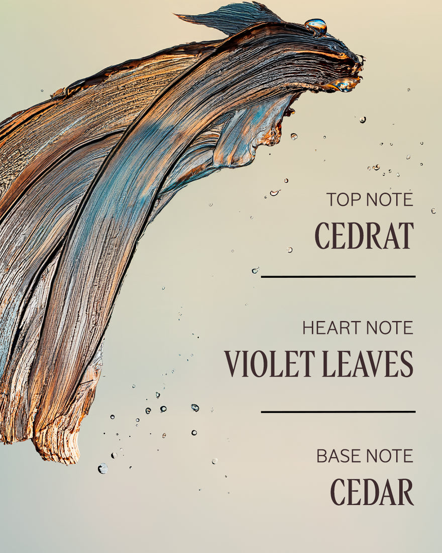 Cédre Gingembre Perfumed Shower Gel