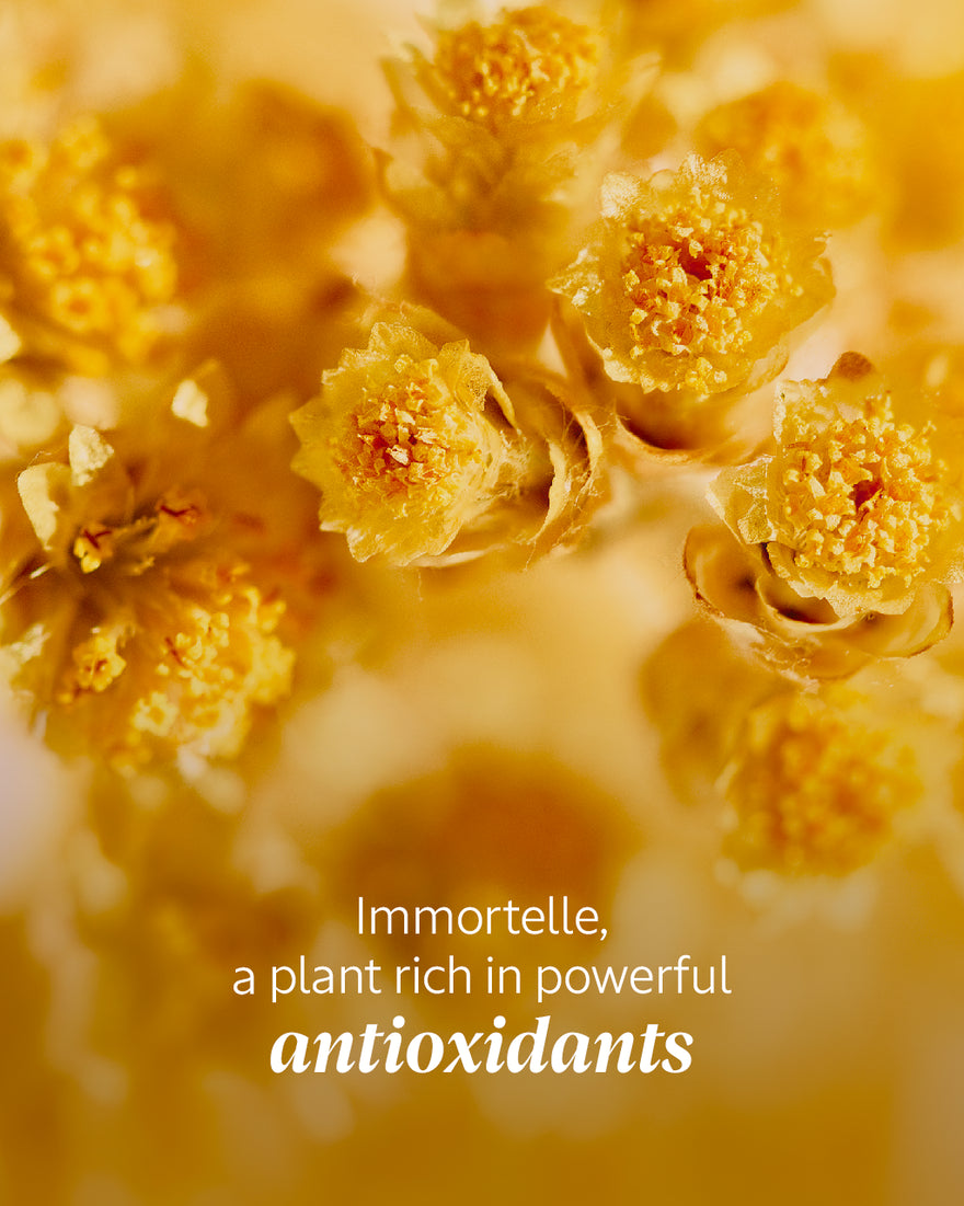 Immortelle Divine Foaming Cleansing Cream