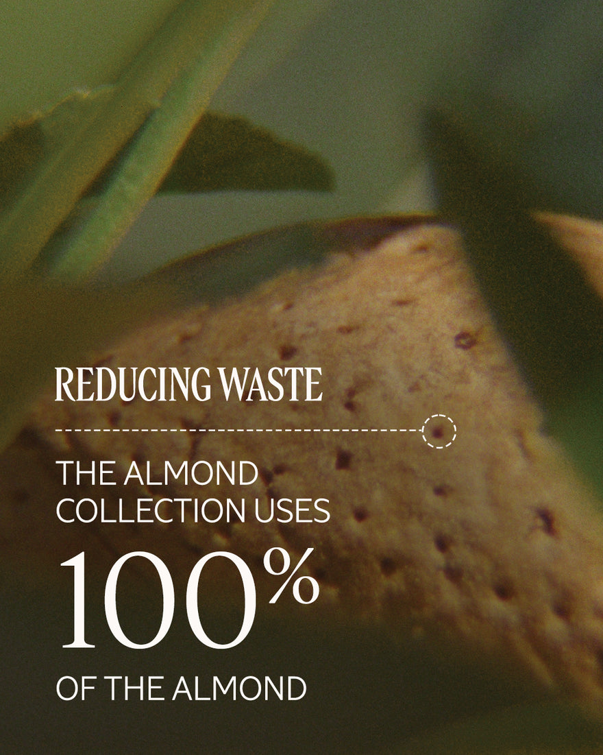 Almond Shower Oil Luxury Size