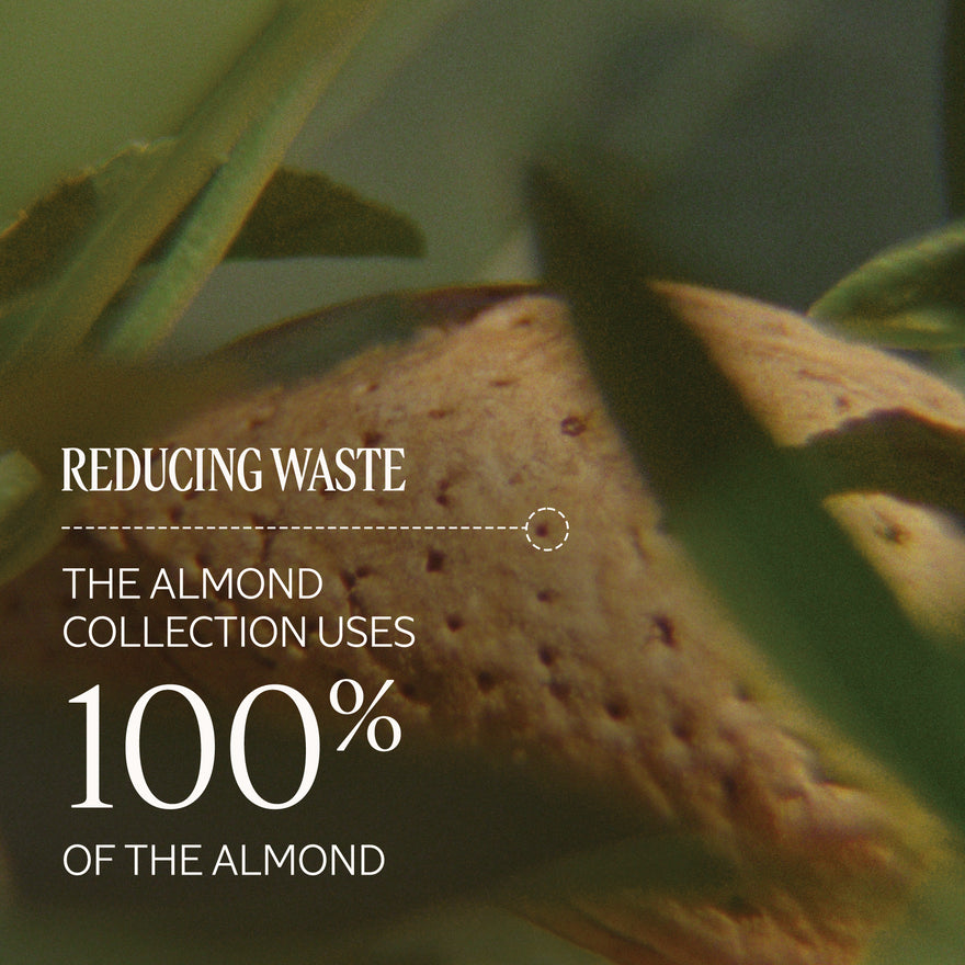 Almond Milk Concentrate Body Cream Refill